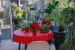 Großzügiges Wohnhaus in familiärer Nachbarschaft in Bünde-Ennigloh - Zweifamilienhaus Bünde Ennigloh | Angebot:27097654