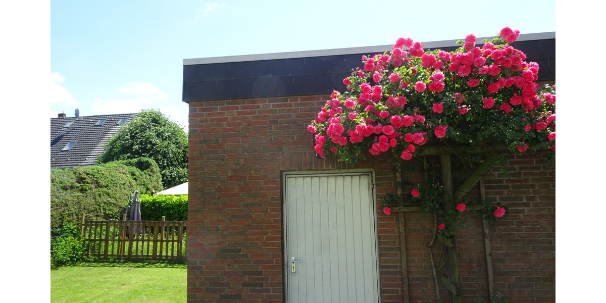 Garage5